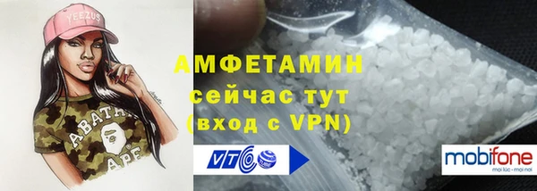a pvp Ельня